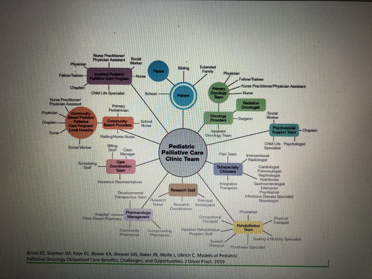 lisscab's tweet photo. @KBrockMD Trabajo arduo en equipo:  Resultados de gran valor @StJude #PPOS2022 https://t.co/8FnpS1h0rq