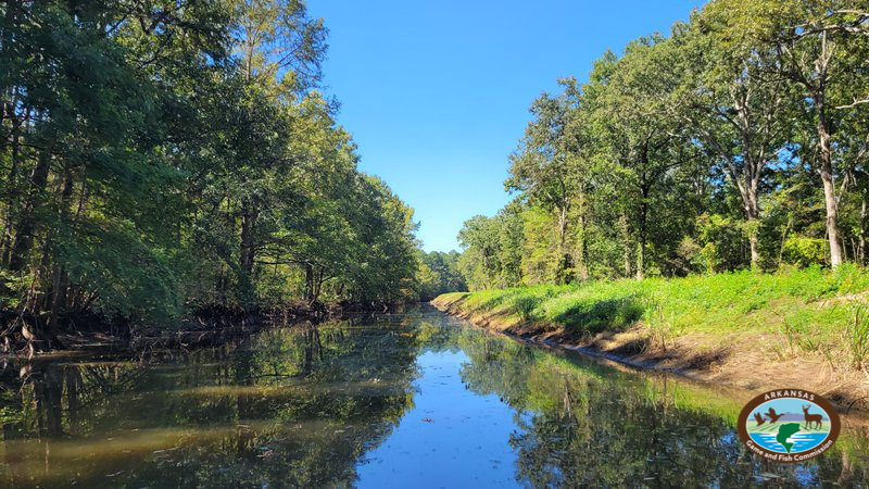 ARGameandFish's tweet photo. Arkansas Wildlife Weekly Fishing Report
Sept. 22, 2022
The north ramp (canal access, county ramp, or Westmoreland Ramp) on Mercer Bayou was inspected, sprayed again and reopened Thursday, Sept. 22. Giant salvinia, an invasive aquatic species than can ...https://t.co/Z2pXExskyj https://t.co/bOmtulW3Ul