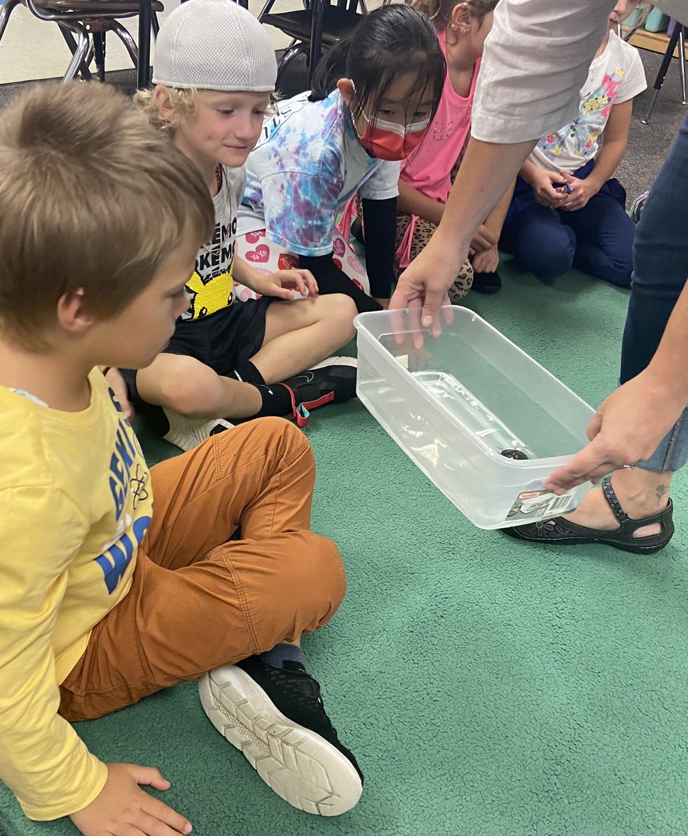 Tara Livolsi tweet media