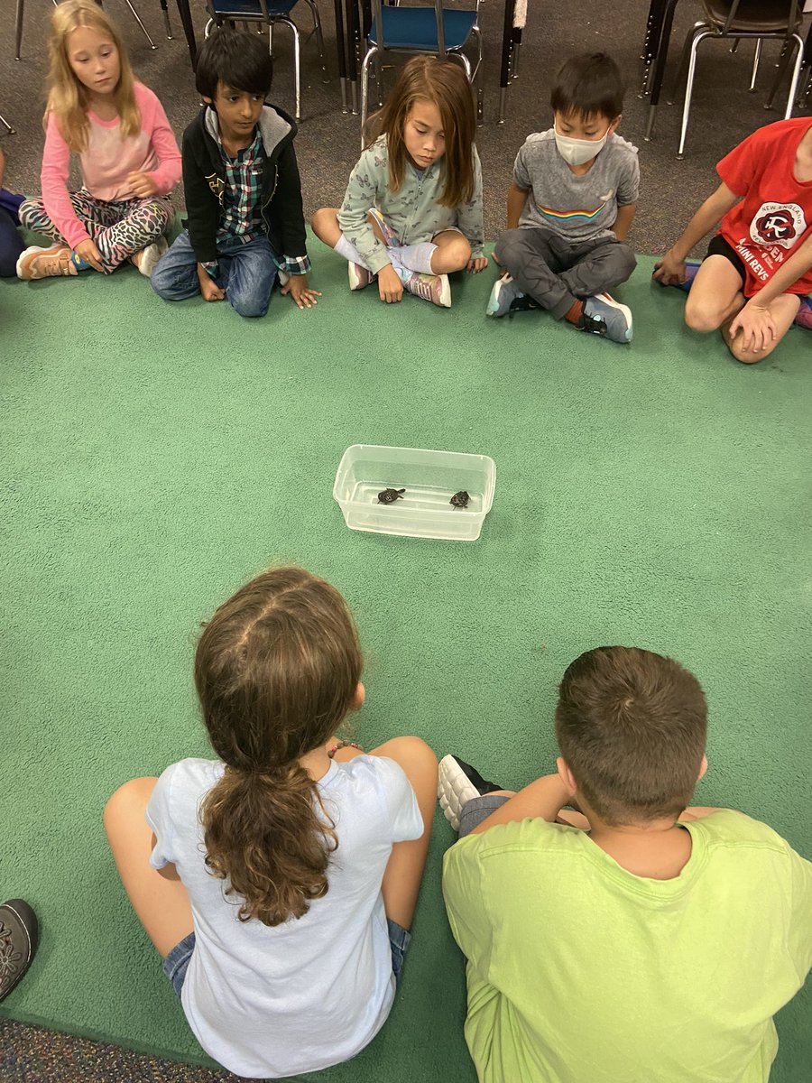 Tara Livolsi tweet media