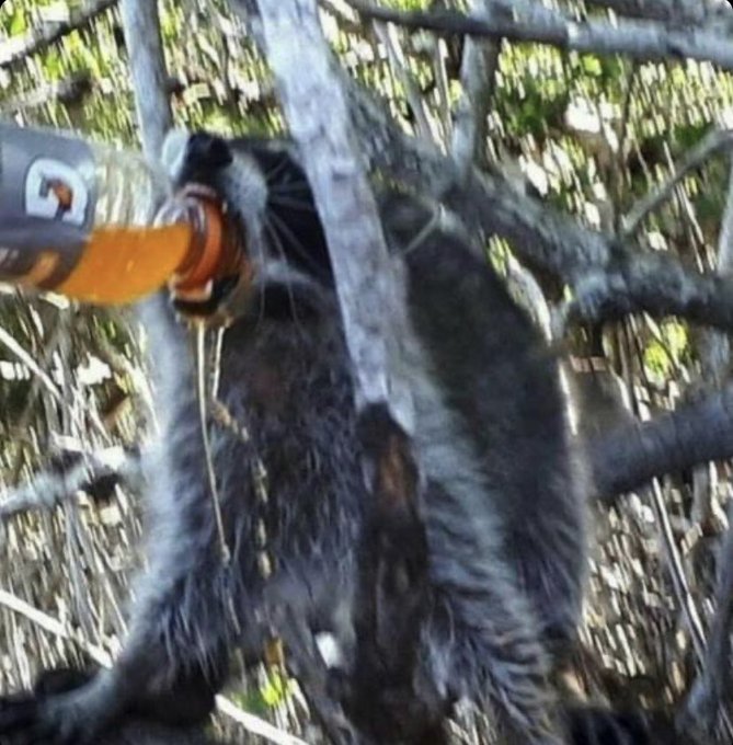 Watch Lauren 🧚🏻‍♀️'s leaked NSFW photo on TwXstars