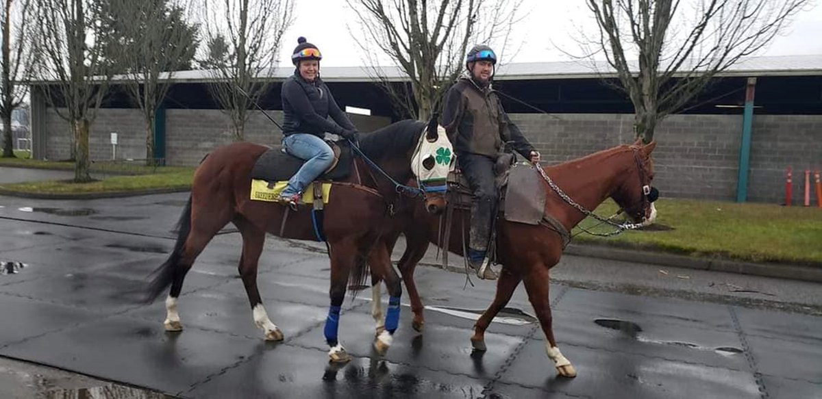 EmeraldDowns's tweet photo. Wine At Nine (KY) was recently retired at the age of 10; he won his final start last Saturday at EmD by a head.

▶️ 19 Wins at EmD, 3rd all-time

▶️ By Year: 2015-2, 2016-2, 2017-6, 2018-3, 2019-4, 2022-2

Broke maiden at GG at age 2 with Russell Baze riding https://t.co/lV8Ge62Wat