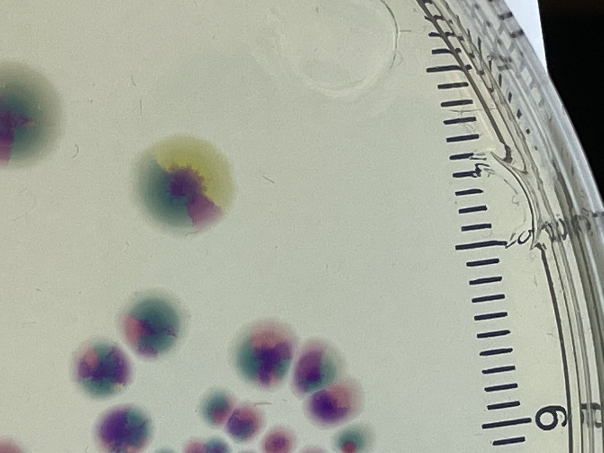 Mark O. Martin tweet media