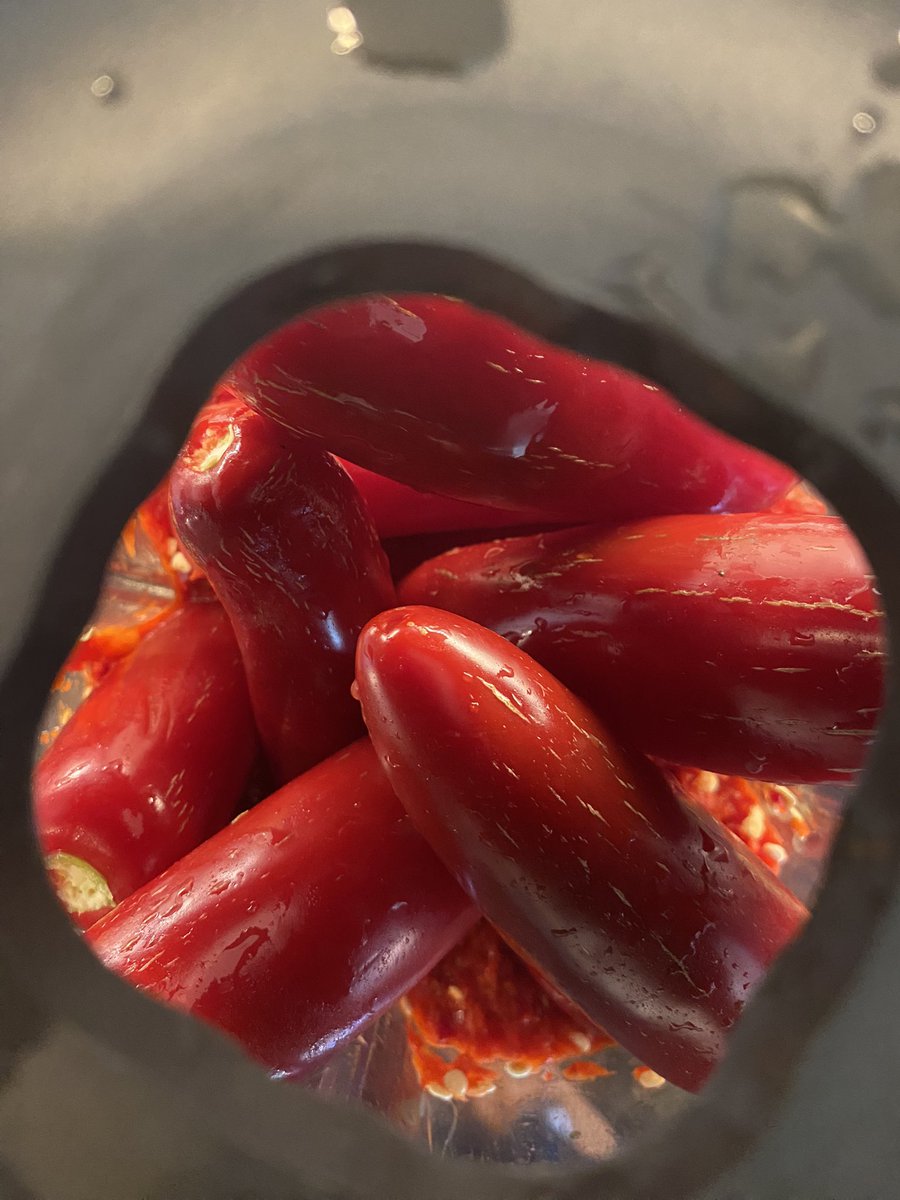 i do love making pepper jelly, but every time i crush the peppers i go in to take a whiff…and every time i teargas myself in the most aromatic and floral way possible.