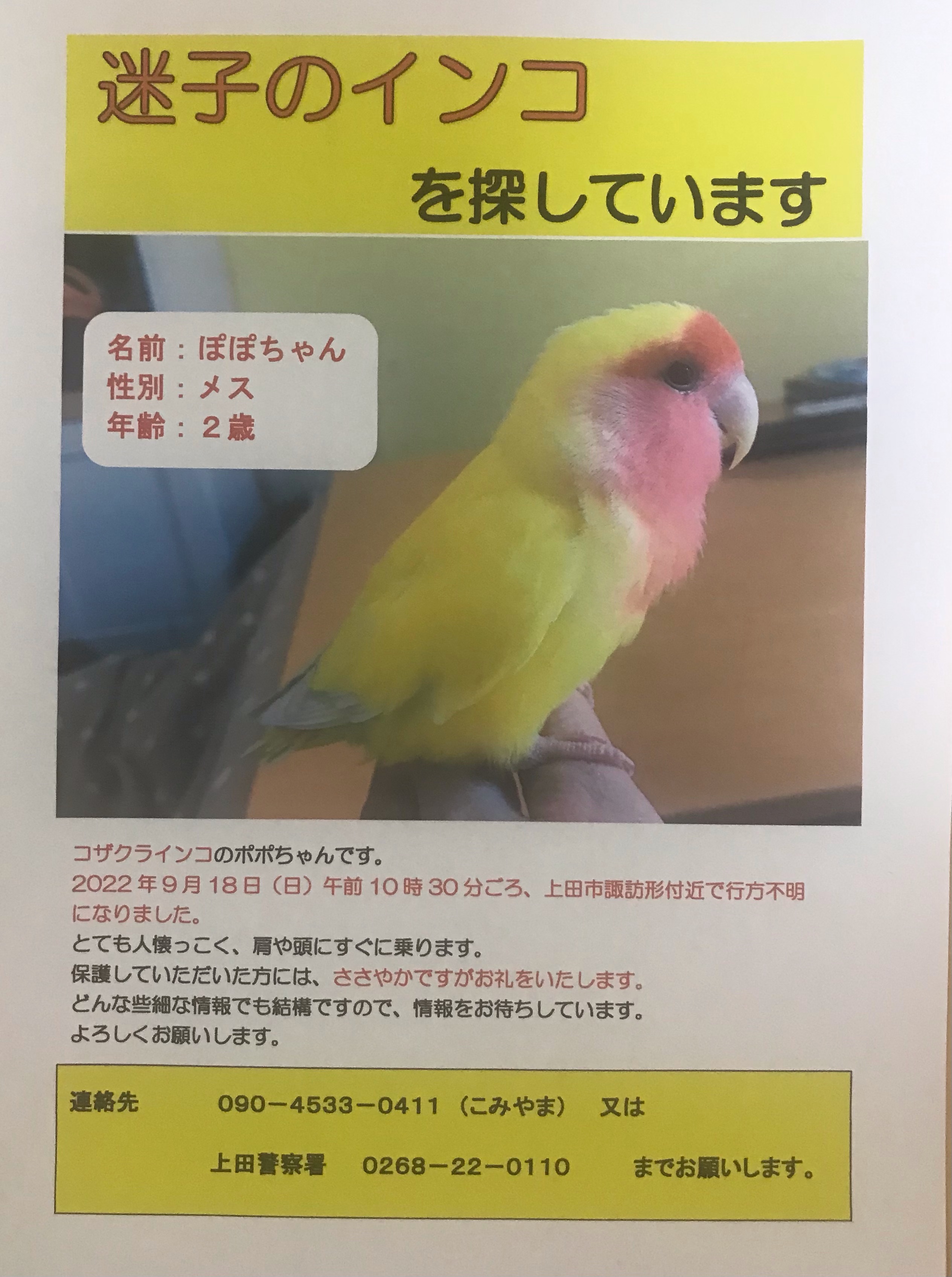 れーな N Reeena Twitter