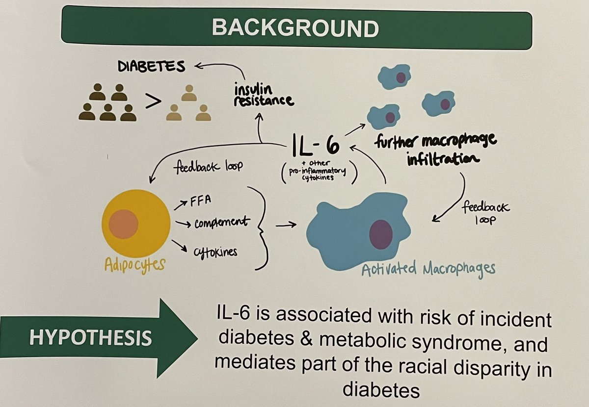 Mary Cushman 🫀🧠🩸 tweet media
