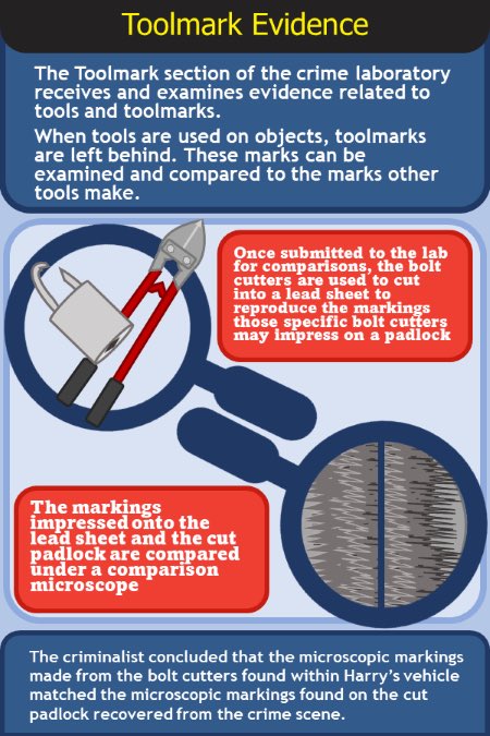 MSHPCrimeLab's tweet photo. #NationalForensicScienceWeek https://t.co/7AZ9sfDe3p