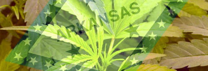 RobyBrock's tweet image. #arpx #arleg BREAKING NEWS: Arkansas Supreme Court puts recreational marijuana amendment back on the November ballot &amp;gt; talkbusiness.net/2022/09/arkans…