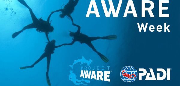 This Saturday you can find the scuba club at UTM cleaning up our local pond on campus, taking part in the PADI aware week!
