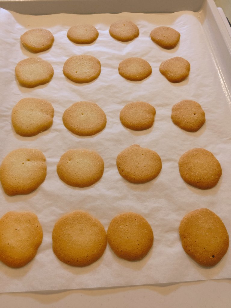 ﾗﾝｸﾞﾄﾞｼｬ Twitter Search Twitter