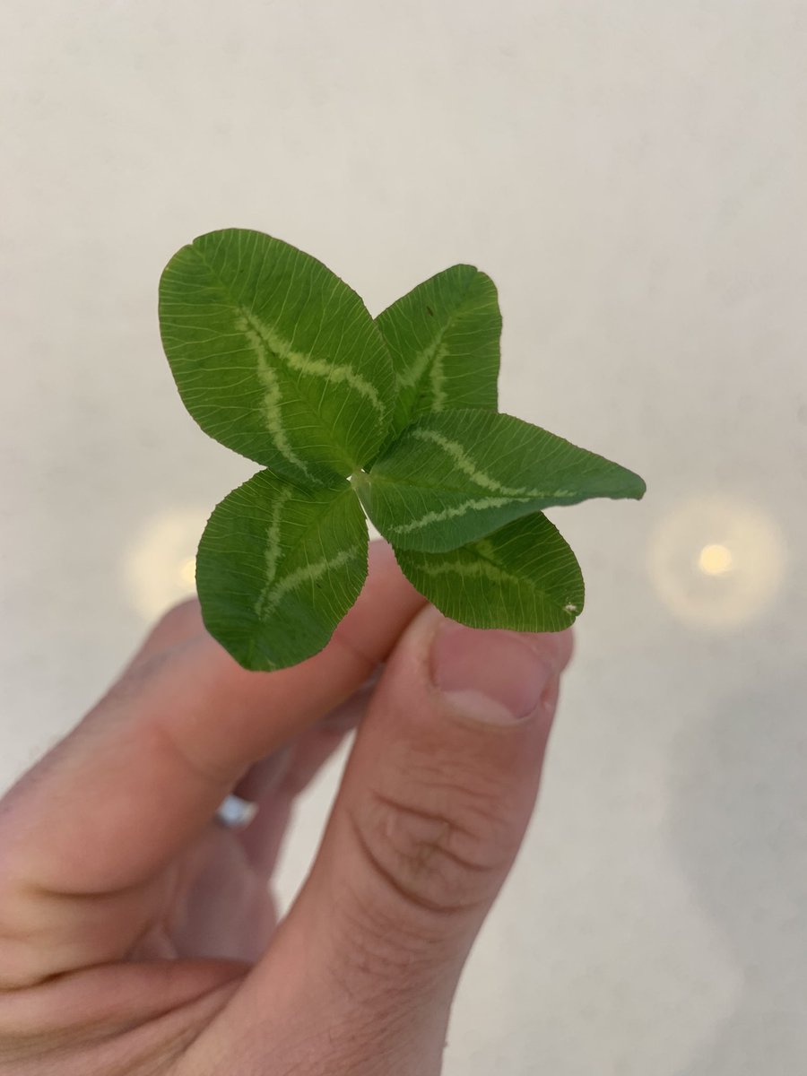 Ok, something new is in the works ⛈☀️