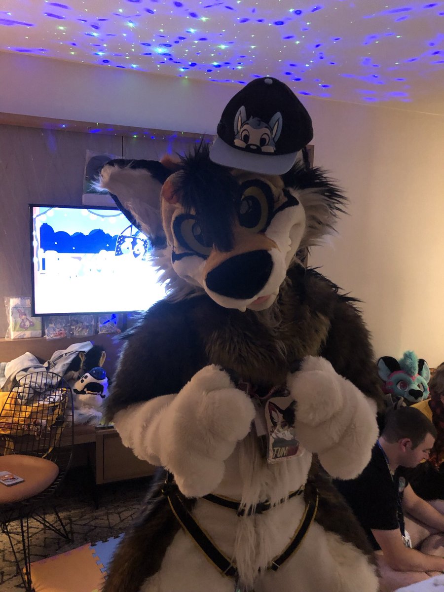 LilDireWuff's tweet photo. I saw #babyfur was trending and wanted to join in https://t.co/Ch0KkwgAWO