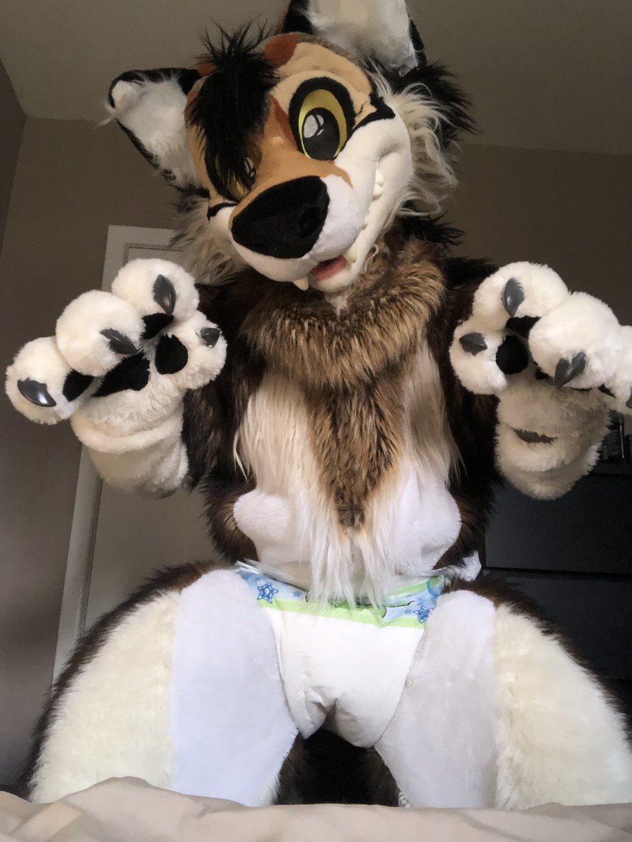 LilDireWuff's tweet photo. I saw #babyfur was trending and wanted to join in https://t.co/Ch0KkwgAWO