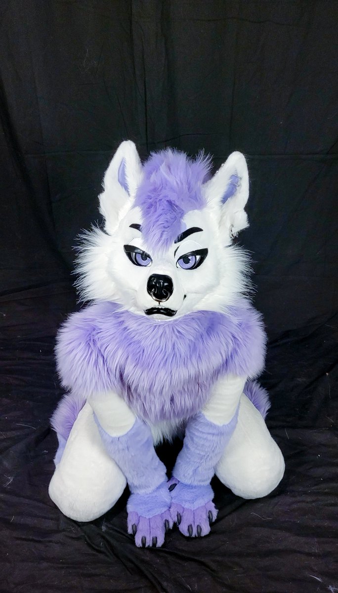 Philly is complete! 🐶