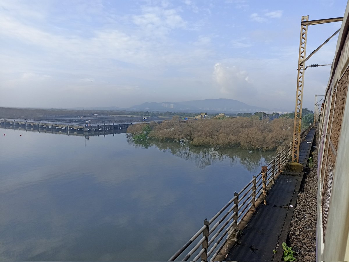 dharmeshbarai's tweet photo. "don't try to touch me, I have turned brown and alive just because of the changing of the weather pattern"- Mumbai Mangroves
I will emerge again in few days and spread greenery.
#pestattack #BrownMangrove
@MangroveForest @shitalpachpande @vrtiwari1 @mumbaimatterz @navimumbaicv https://t.co/hGanEi73og