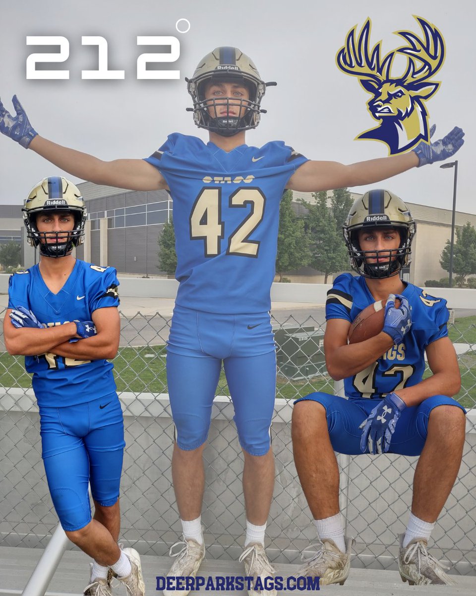 DPHS STAG FOOTBALL tweet media