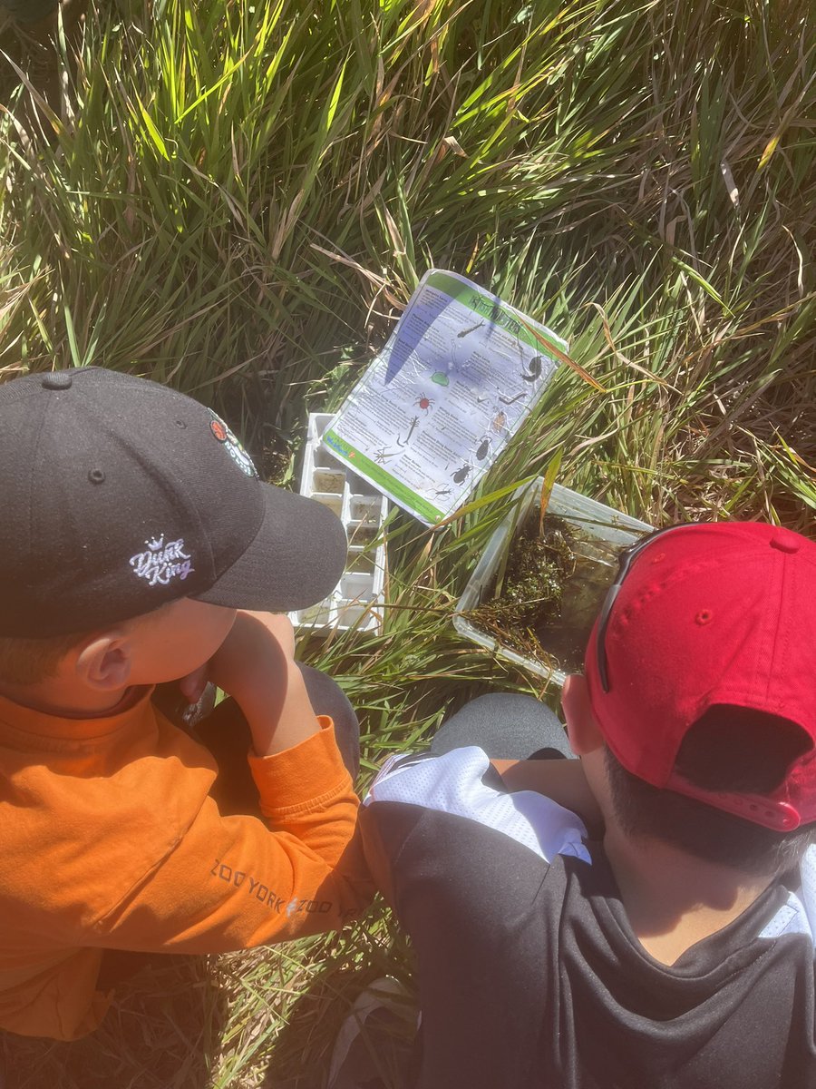 Back out on land! It was a beautiful day and our land based program grew to 2 classes. Thanks <a href="/LaceyWeekes/">Lacey Weekes</a> and Mya from @NatureSask #landbasedlearning #cougarawesome <a href="/RegPublicSchool/">Regina Public Schools</a> <a href="/CentennialSchoo/">🐾 Ecole Centennial</a>