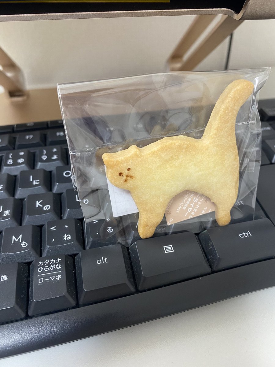 _all_connect's tweet photo. オールコネクトです
今日は頂き物の焼き菓子と共にお昼です🐈‍⬛
可愛い…( ◠‿◠ )
午後もよろしくお願いします🔥
#企業公式つぶやき部 
#企業公式ダイエット部 
#オールコネクト 
#ALLCONNECT https://t.co/dbKGmD0qmQ