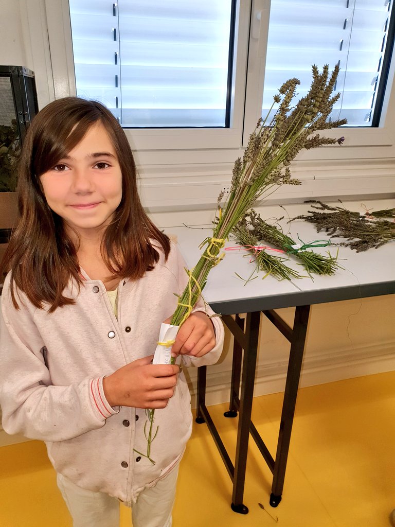 SVTBeaumanoir's tweet photo. Au #clubnature : #Engrais à partir de peau banane pour notre cerisier. Réalisation de bouquets de #lavande. Réflexion autour de notre œuvre et inscription au #concours "Une œuvre 1 % dans mon collège : 1 pour 100, tous pour 1" https://t.co/Gz0xxZS62O