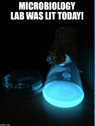 markowenmartin's tweet photo. I had some fun today with #MicrobialMemes. #Bio350 #Micronauts @univpugetsound @ASMicrobiology https://t.co/ZZkdYUujH6