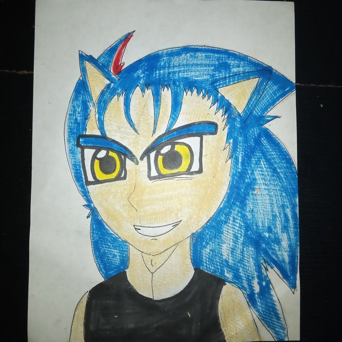 Sailor Seelkadoom The Hedgehog tweet media