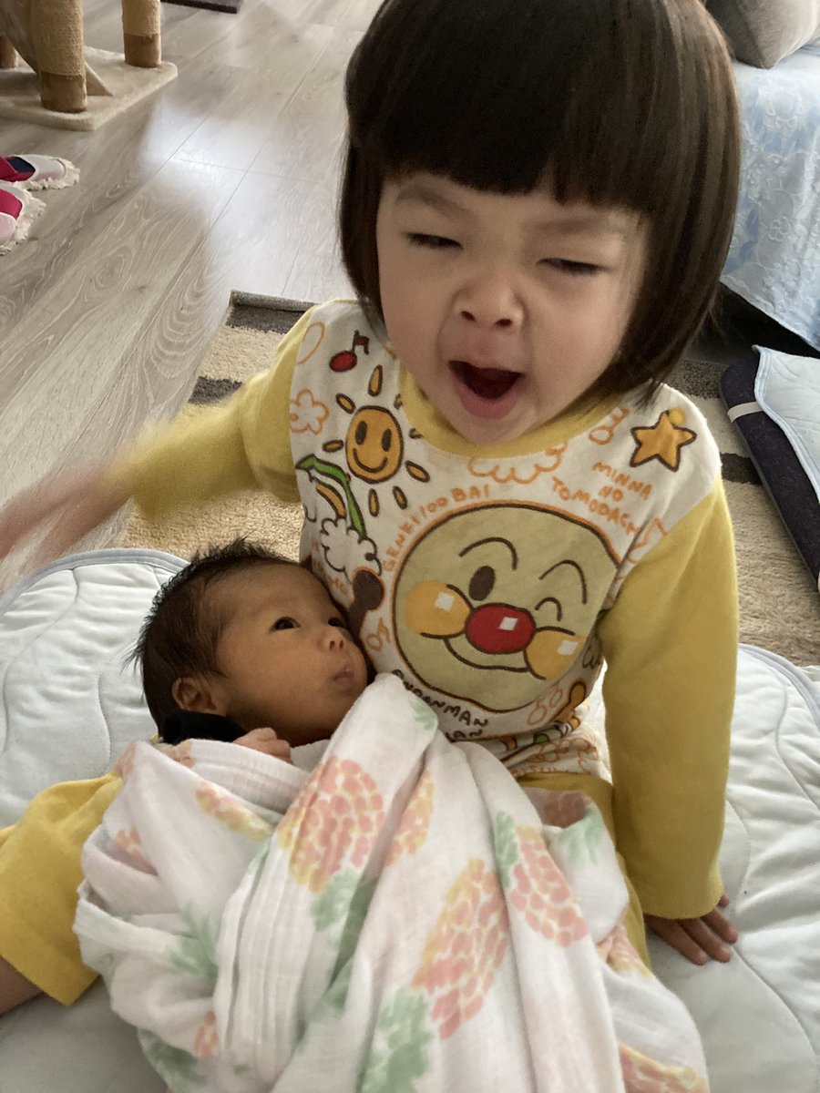 kyorochandayu's tweet photo. 1番下が1番上の小さい時にそっくり https://t.co/6Wg7EUWEax