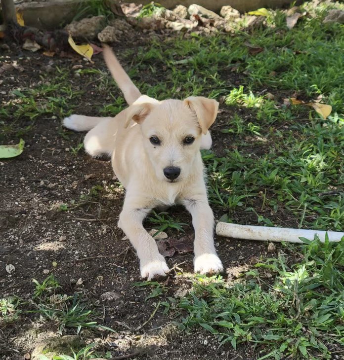 We are so humbled and extremely grateful for all of the positive notes and prayers left for us on recent social media posts. The past few days have been trying for all of us and we are so thankful to have the support of so many kind and generous followers. #HurricaneFiona