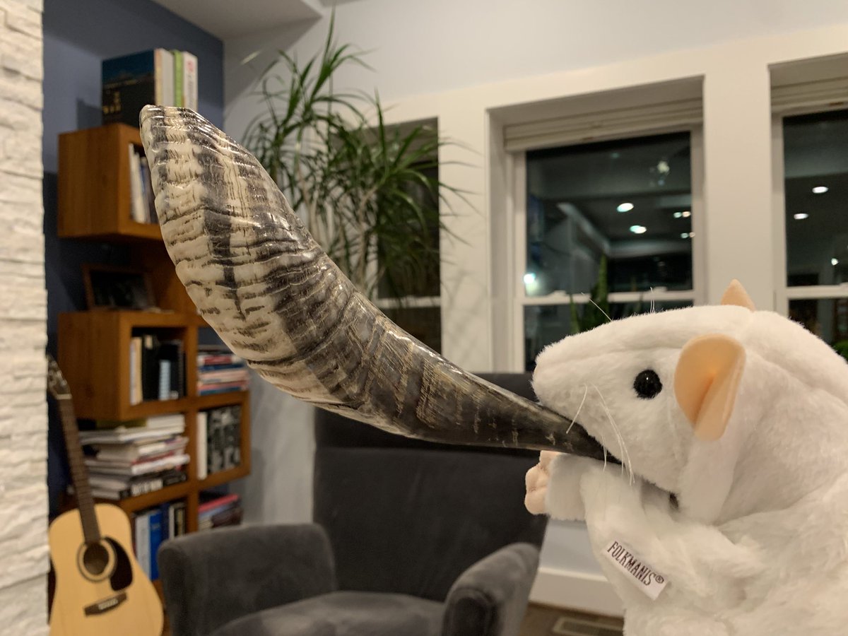 practicin my shofar for the bees tomorrow last school day before #RoshHashanah hahaha stupid goat i am the captain now