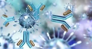 john51913288's tweet photo. 37th International #Conference on #Immunology" featured highly interactive sessions and panel discussions.
May 24-25, 2023 #Vienna, #Austria
🔗https://t.co/Gry0PAU8H5
☎️  +44 7897073589
M: johncarlot087@gmail.com
#Immunology #Oncoimmunology #Immunedisorder #Immunogenetics https://t.co/zpy5uxKDdy