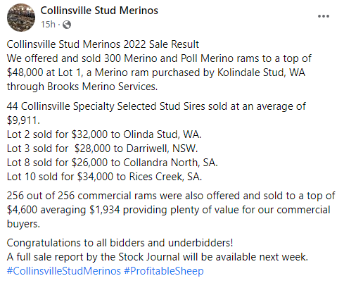 CollinsvilleAUS's tweet photo. Collinsville 2022 On Property Sale Result
Congratulations to all bidders and underbidders!
#CollinsvilleStudMerinos #ProfitableSheep https://t.co/NCHOGi5Xyb