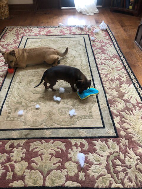 FunFuriends tweet picture
