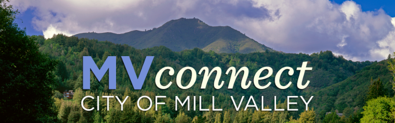 City_of_MV's tweet photo. MVConnect: Latest Edition is here! September 22, 2022. Check out the latest news: Plaza Expansion Survey, 1 Hamilton Update, Join the YAC, Climate Webinar, Book Sale, Halloween Events &amp; More!

https://t.co/AoG6s4wBTP https://t.co/YQJCEEnmqs