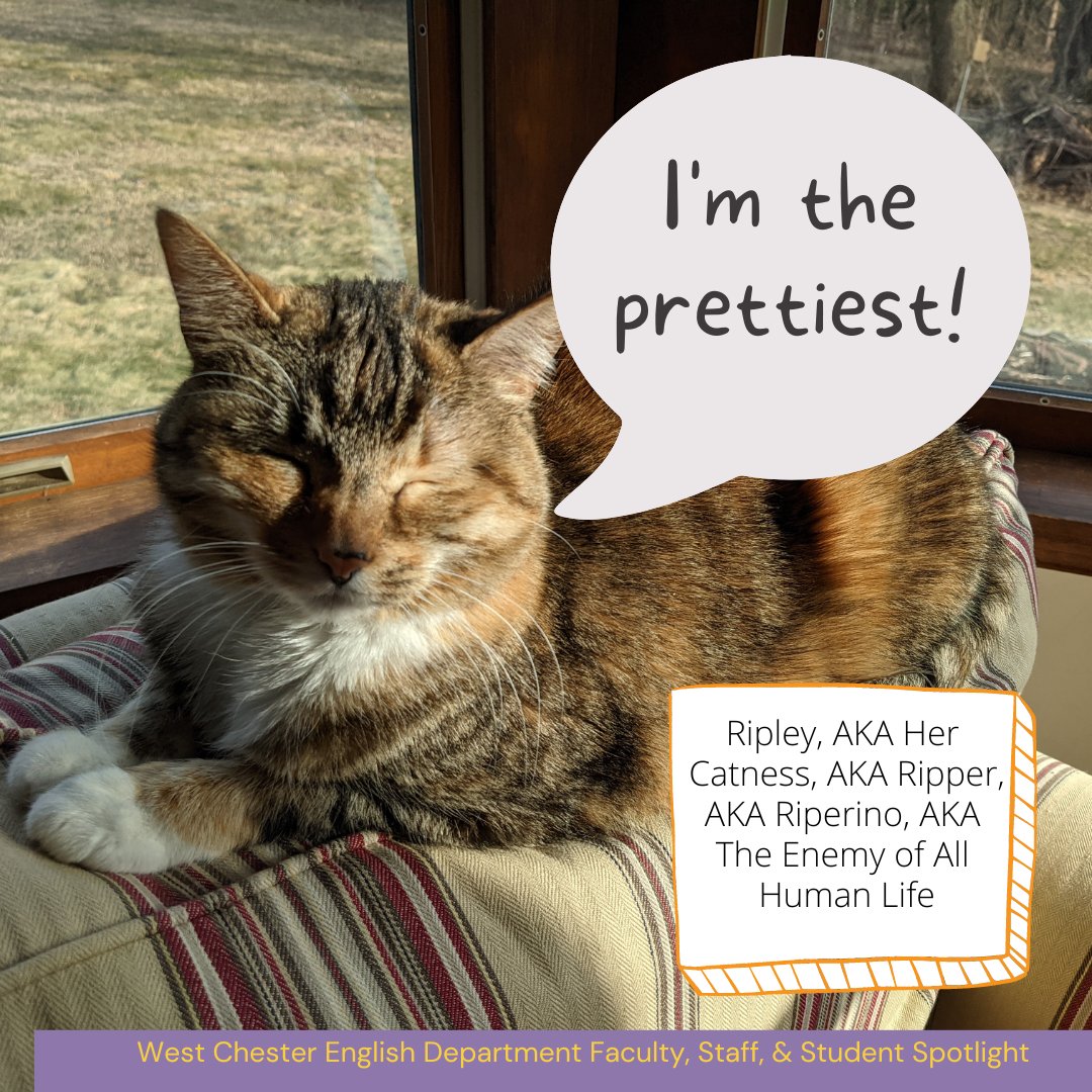 It's faculty profile Thursday! This week, Professor Andy Famiglietti: