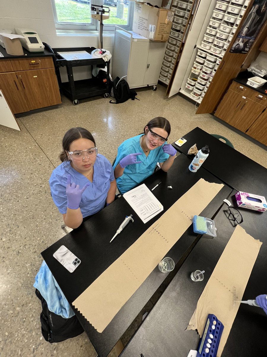 M_SeideMAN's tweet photo. Our lab day fashion goes as hard as our micropipette skills. #OFHSBioMed #OFPride @STLPLTW https://t.co/41FDzF5eQq