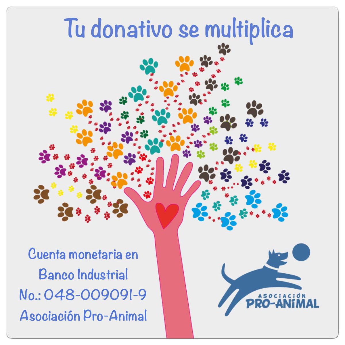 Proanimal_gt's tweet photo. #SoyProAnimalGt
¡Necesitamos padrinos para poder esterilizarlas! 🐾💗🙏🏼
Ayúdanos a frenar la sobrepoblación de perros en la calle de #SanFranciscoZapotitlán 🙏🏼
Cada quetzal suma.
📱42155277 para confirmar tu donación y poder reportarlo en la veterinaria.
#Compartir
#Proyecto35 https://t.co/HhtW7zth6c