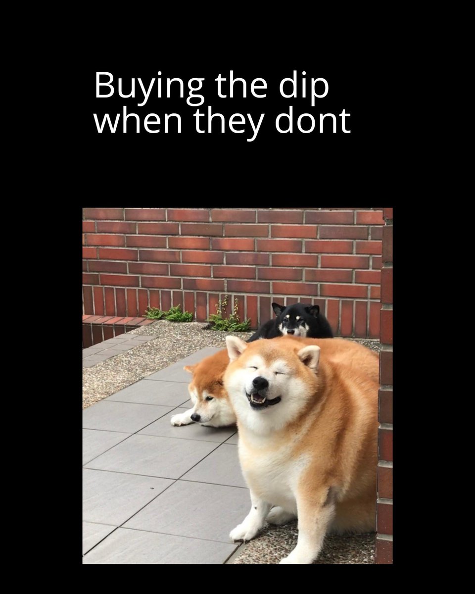 Chonkers Inu tweet media