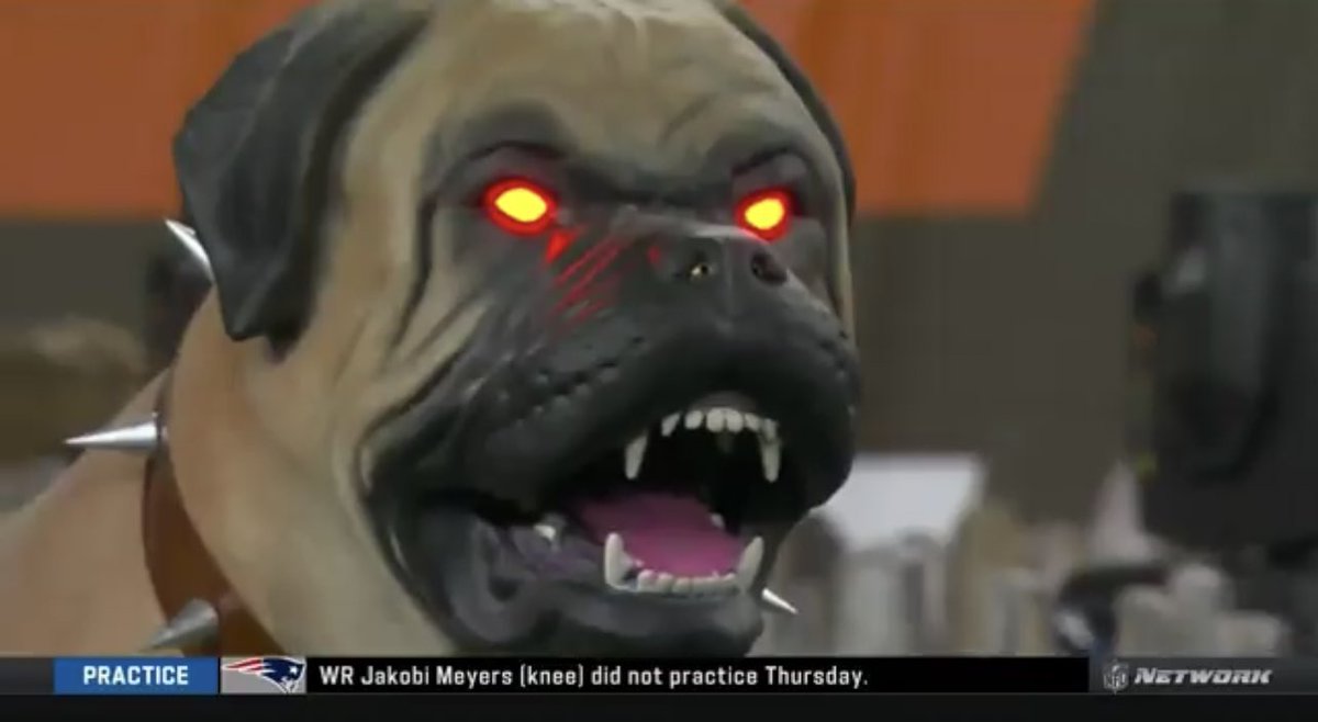 PFTCommenter's tweet photo. DAWG CHECK https://t.co/olWd6gMgfx