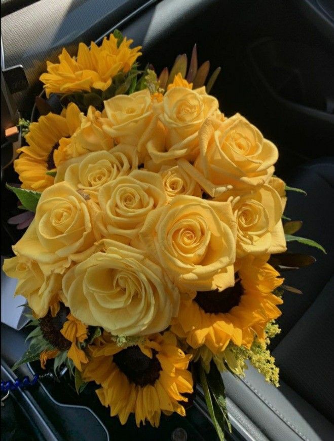 Un regalo para ti, mi koalita. <a href="/britxshprincxss/">𝓡𝐔𝐁𝐘 𝓖𝐀𝐑𝐅𝐈𝐄𝐋𝐃.</a>