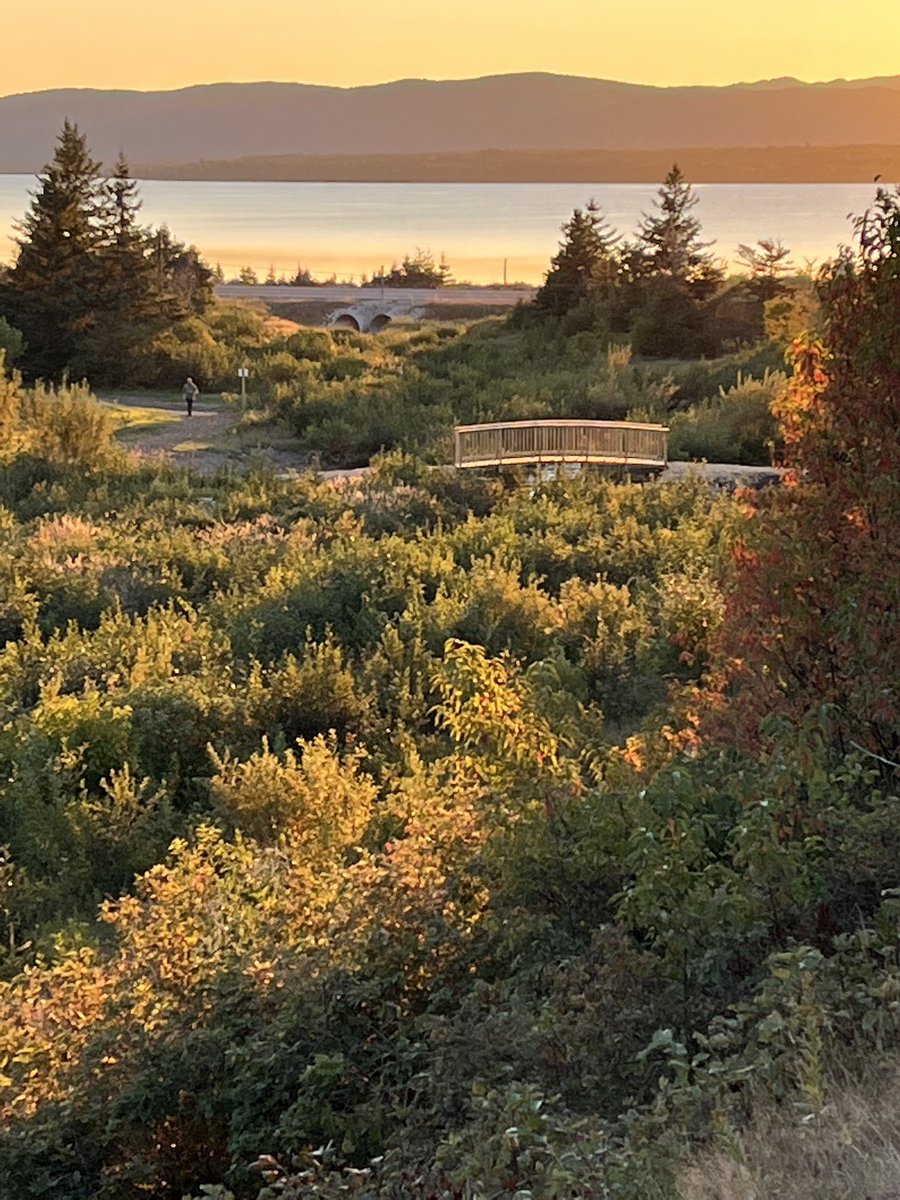 Another stunning view in Deer Lake. Thanks to the trail professionals!