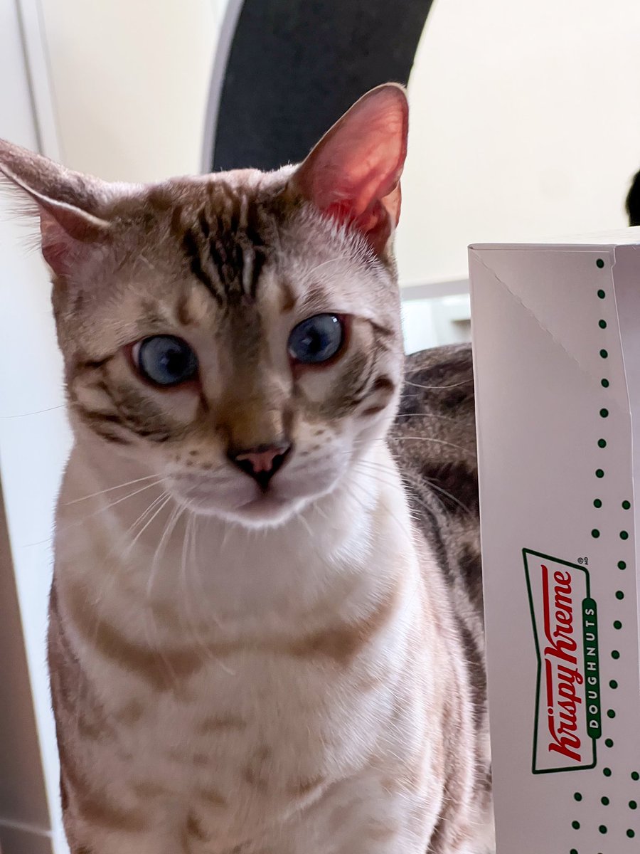 Killua or <a href="/krispykreme/">Krispy Kreme</a>?