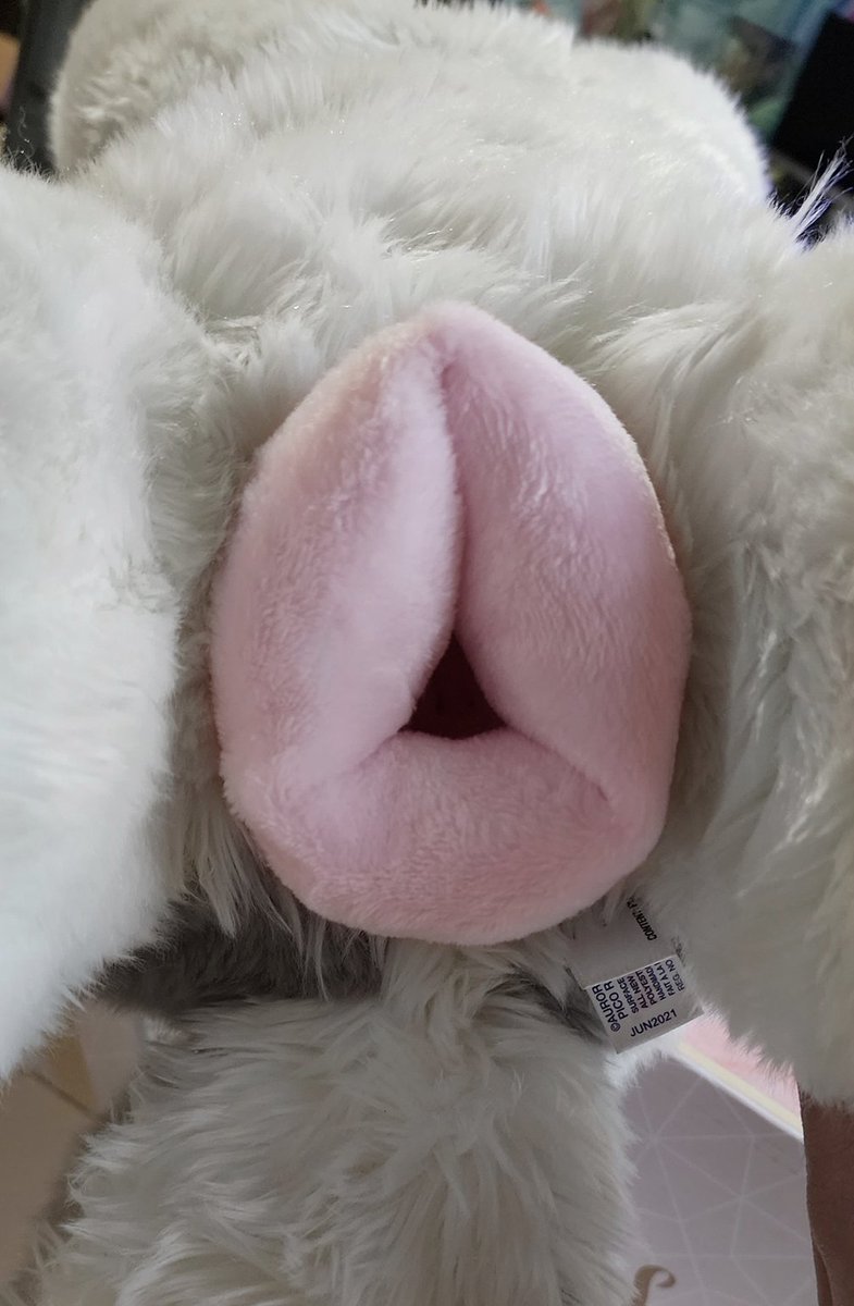 StuffMyStuffies 🧸 tweet media