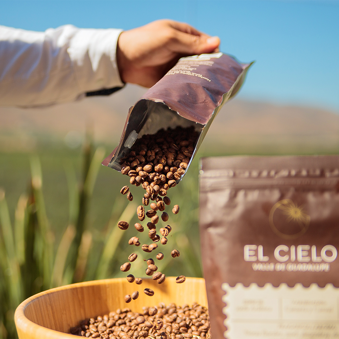 VinosElCielo's tweet photo. ¡Inicia tus mañanas con sabor a El Cielo!☕️☀✨

Conoce nuestro nuevo Café de Especialidad El Cielo✨  simplemente irresistible y  cuidadosamente elaborado a partir de granos seleccionados en Chiapas a 1,250 metros sobre el nivel del mar🌊

¡Adquiere el tuyo hoy!

#CafeElCielo https://t.co/I77wok7cEA