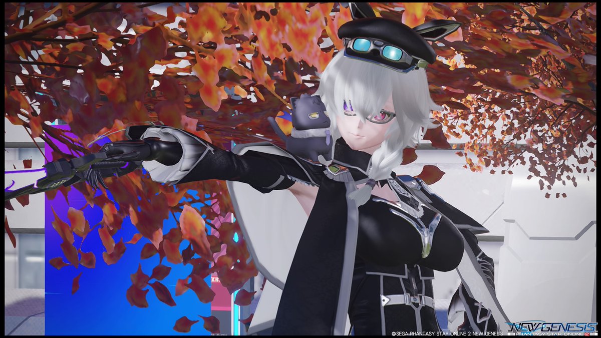 #PSO2NGS 
 #PSO2NGS_SS
 #メンテの日じゃないけどssを貼る 

おはこんこ〜ん
ฅ(๑•̀ㅁ•́  ฅ)ｼｬｬｬｱ!!

今日は休みなのでちょっと遠くまで出かけま～

SSは新スクの服とヘアーと帽子のセットをベースに色々追加～
帽子が綺麗におさまったかな？w
そして
「メーガーネー(-⊡ω⊡)ゞｸｲｯ」
ですw