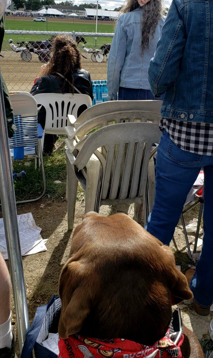 DelCoco911 tweet media