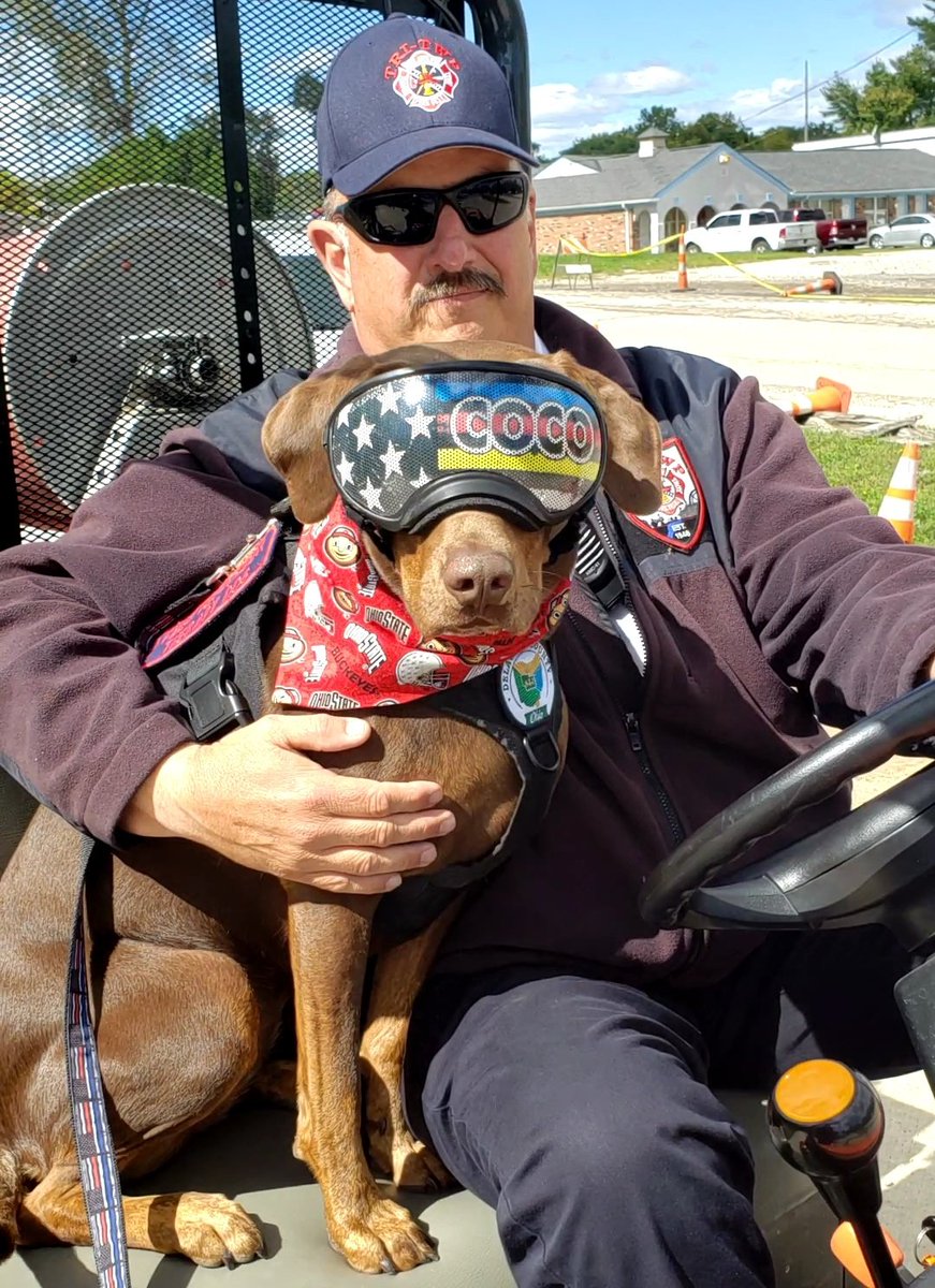 DelCoco911 tweet media