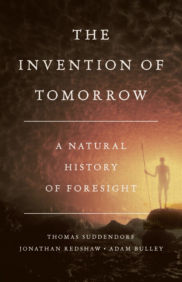 Adam Bulley tweet media