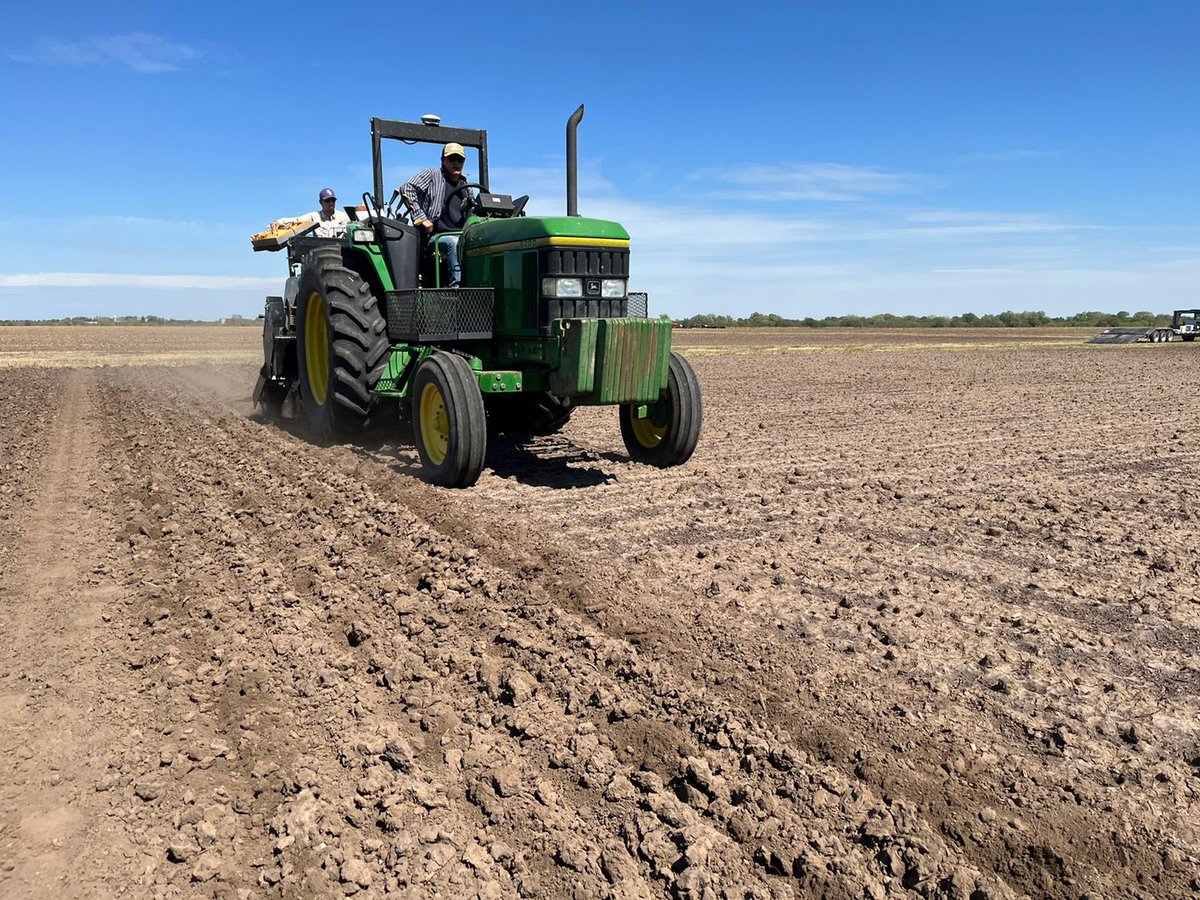 KSUWheat's tweet photo. @KSUWheat team led by @luiz_pradella @JorgeSolerr and @lpryan24 got the early planted #wheat for dual purpose (graze and grain) trials planted in Hutchinson yesterday just before the rain! Great team effort! @KStateAgron @KansasWheat https://t.co/rBYu2mT29i