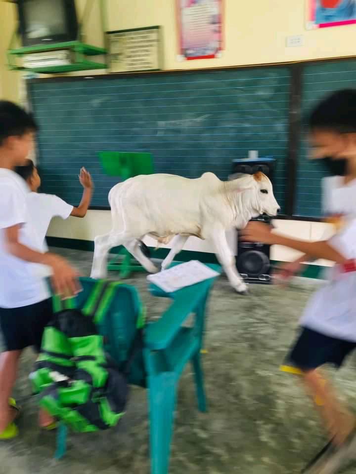 kblstgn's tweet photo. grabe naman magpa Bring Me si ma’am https://t.co/JFCqn8OMoY