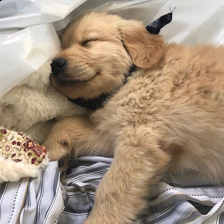 good morning, loves :p