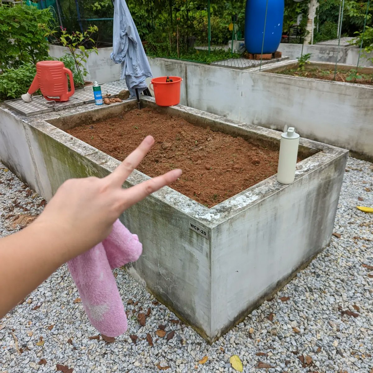 nataliekhool's tweet photo. Peace out ✌️ https://t.co/LirwgoEpqr